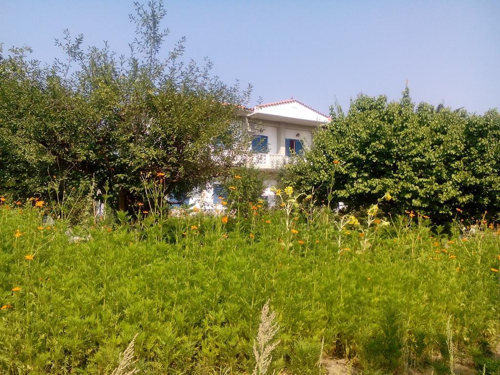 Guesthouse Karidia สกาลา เอเรโซ ภายนอก รูปภาพ