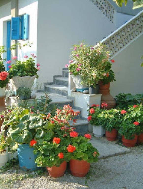 Guesthouse Karidia สกาลา เอเรโซ ภายนอก รูปภาพ